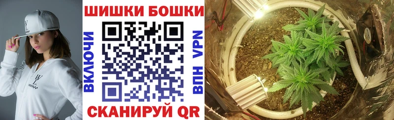 Бошки Шишки марихуана  Чегем 